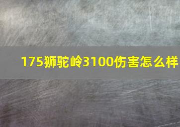 175狮驼岭3100伤害怎么样