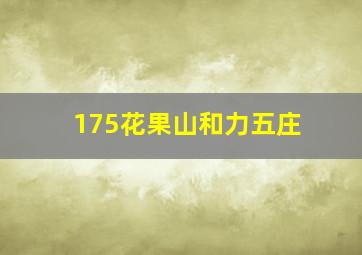 175花果山和力五庄