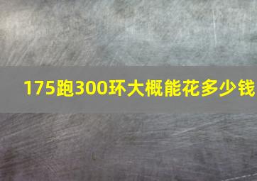 175跑300环大概能花多少钱