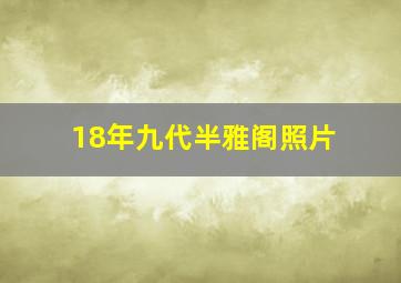 18年九代半雅阁照片