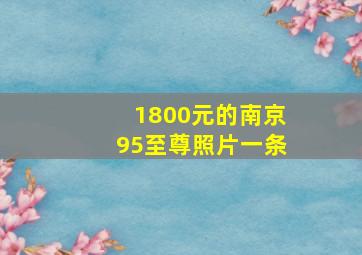 1800元的南京95至尊照片一条