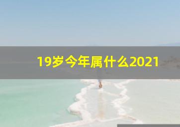 19岁今年属什么2021