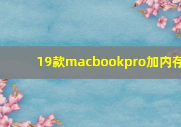 19款macbookpro加内存