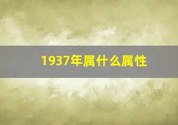 1937年属什么属性