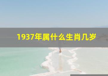 1937年属什么生肖几岁