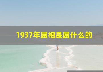 1937年属相是属什么的