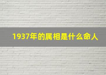 1937年的属相是什么命人