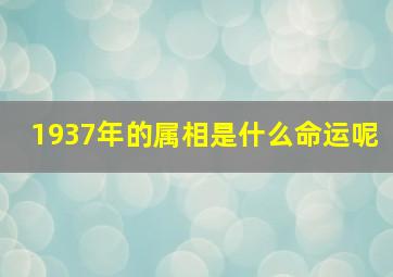 1937年的属相是什么命运呢