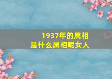 1937年的属相是什么属相呢女人