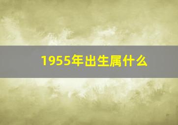 1955年出生属什么