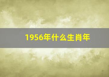 1956年什么生肖年