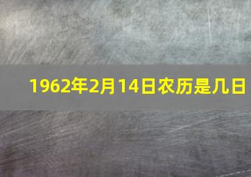 1962年2月14日农历是几日