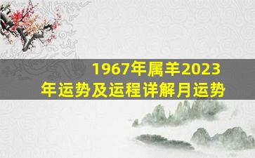 1967年属羊2023年运势及运程详解月运势