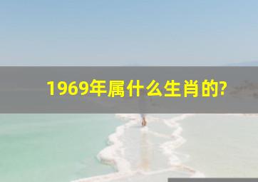 1969年属什么生肖的?