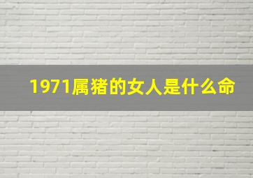 1971属猪的女人是什么命