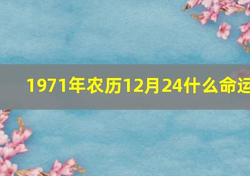 1971年农历12月24什么命运