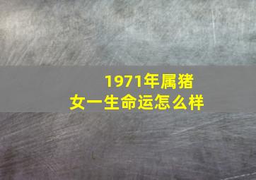 1971年属猪女一生命运怎么样