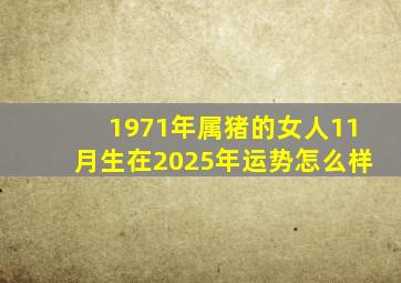 1971年属猪的女人11月生在2025年运势怎么样