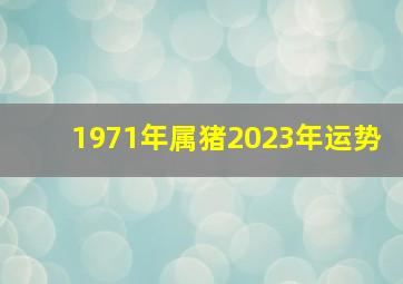 1971年属猪2023年运势