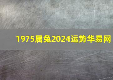 1975属兔2024运势华易网