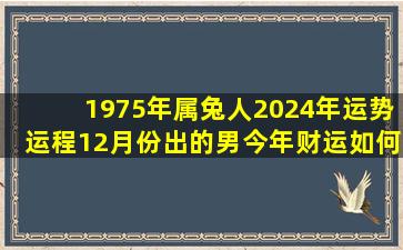 1975年属兔人2024年运势运程12月份出的男今年财运如何