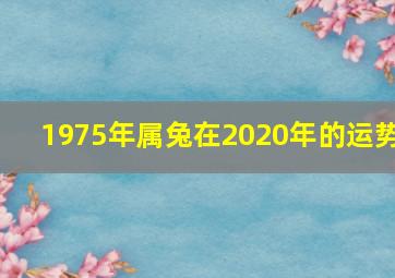 1975年属兔在2020年的运势