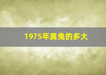 1975年属兔的多大