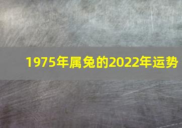 1975年属兔的2022年运势