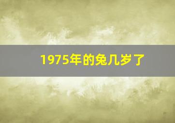 1975年的兔几岁了