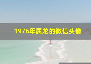 1976年属龙的微信头像