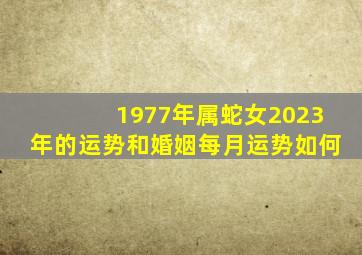 1977年属蛇女2023年的运势和婚姻每月运势如何