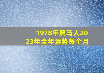 1978年属马人2023年全年运势每个月