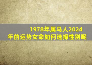 1978年属马人2024年的运势女命如何选择性别呢