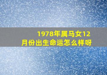 1978年属马女12月份出生命运怎么样呀