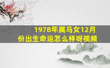 1978年属马女12月份出生命运怎么样呀视频