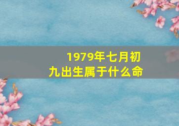 1979年七月初九出生属于什么命