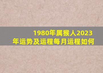 1980年属猴人2023年运势及运程每月运程如何