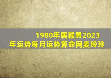 1980年属猴男2023年运势每月运势算命网麦玲玲