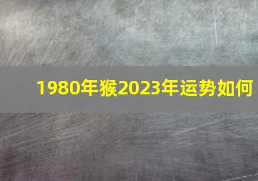 1980年猴2023年运势如何