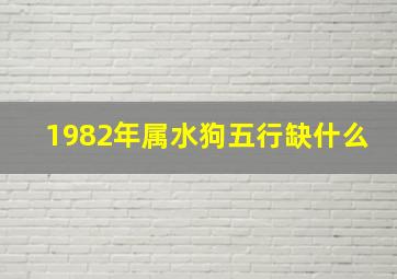 1982年属水狗五行缺什么