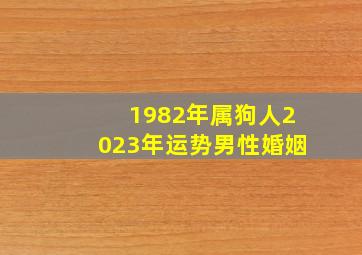 1982年属狗人2023年运势男性婚姻