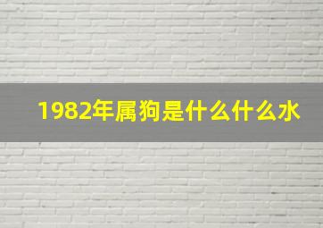 1982年属狗是什么什么水