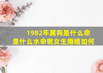 1982年属狗是什么命是什么水命呢女生婚姻如何