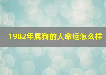 1982年属狗的人命运怎么样