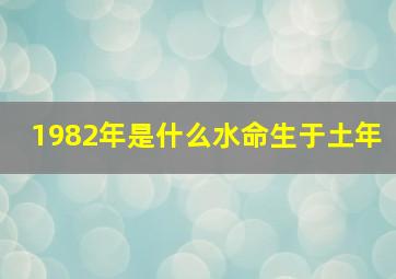 1982年是什么水命生于土年