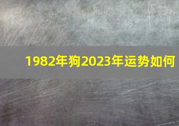 1982年狗2023年运势如何