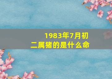 1983年7月初二属猪的是什么命