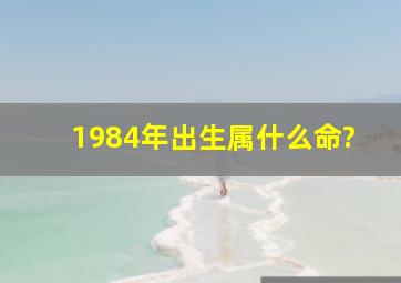 1984年出生属什么命?