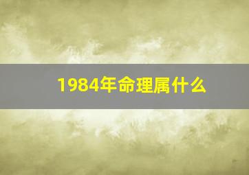 1984年命理属什么