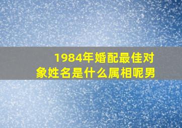 1984年婚配最佳对象姓名是什么属相呢男